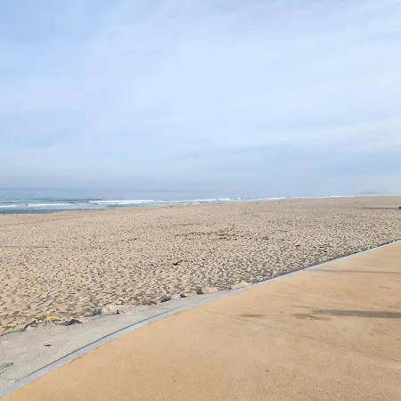 Magnifico T2 De Esmoriz