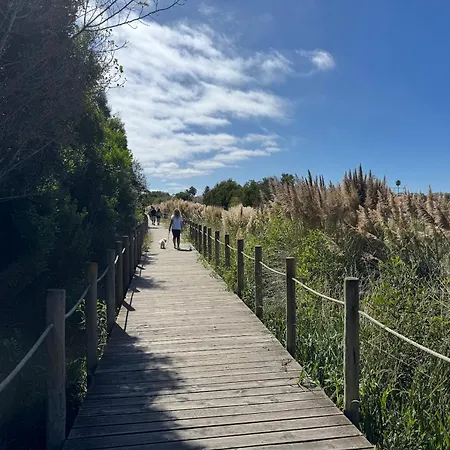 Magnifico T2 De Esmoriz