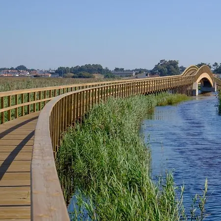 Apartamento Magnífico T2 De *