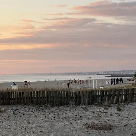 Magnifico T2 De Daire *