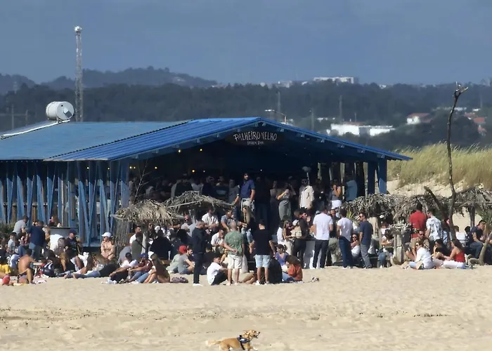 Apartamento Magnífico T2 De