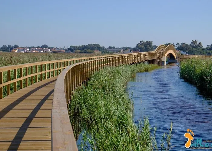 شقة Magnifico T2 De *